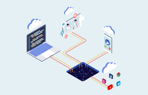 拼多多签到红包在哪里查看