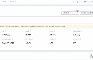 掌握淘宝直通车正确的推广技巧，即可轻松获取平台大量的精准曝光