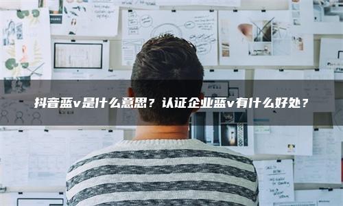 抖音蓝v是什么意思？认证企业蓝v有什么好处？