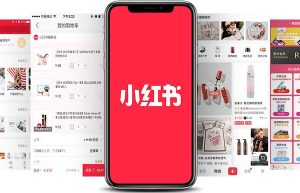 小红书超级干货文字教程，手把手教你从零开始运营账号