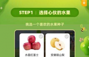 淘宝芭芭农场种水果要多久 芭芭农场怎么升级快攻略