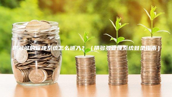 拼多多的管理系统怎么进入？（拼多多管理系统登录指南）