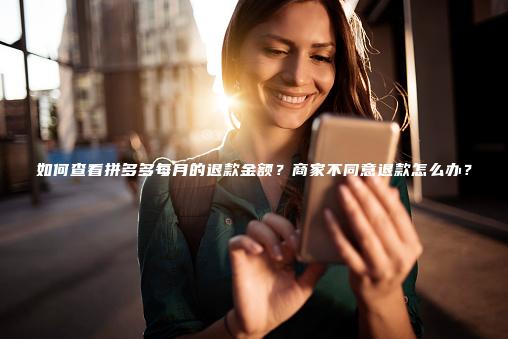 如何查看拼多多每月的退款金额？商家不同意退款怎么办？