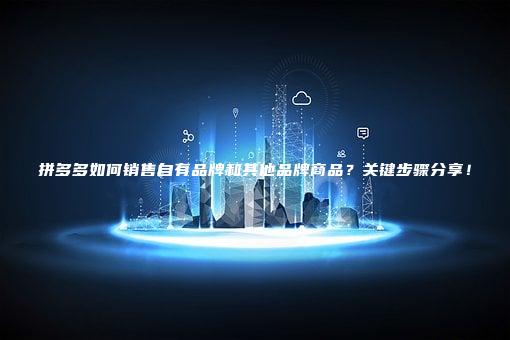 拼多多如何销售自有品牌和其他品牌商品？关键步骤分享！